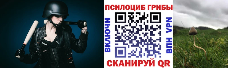 Купить закладки  Белокуриха  Псилоцибиновые грибы ЛСД 